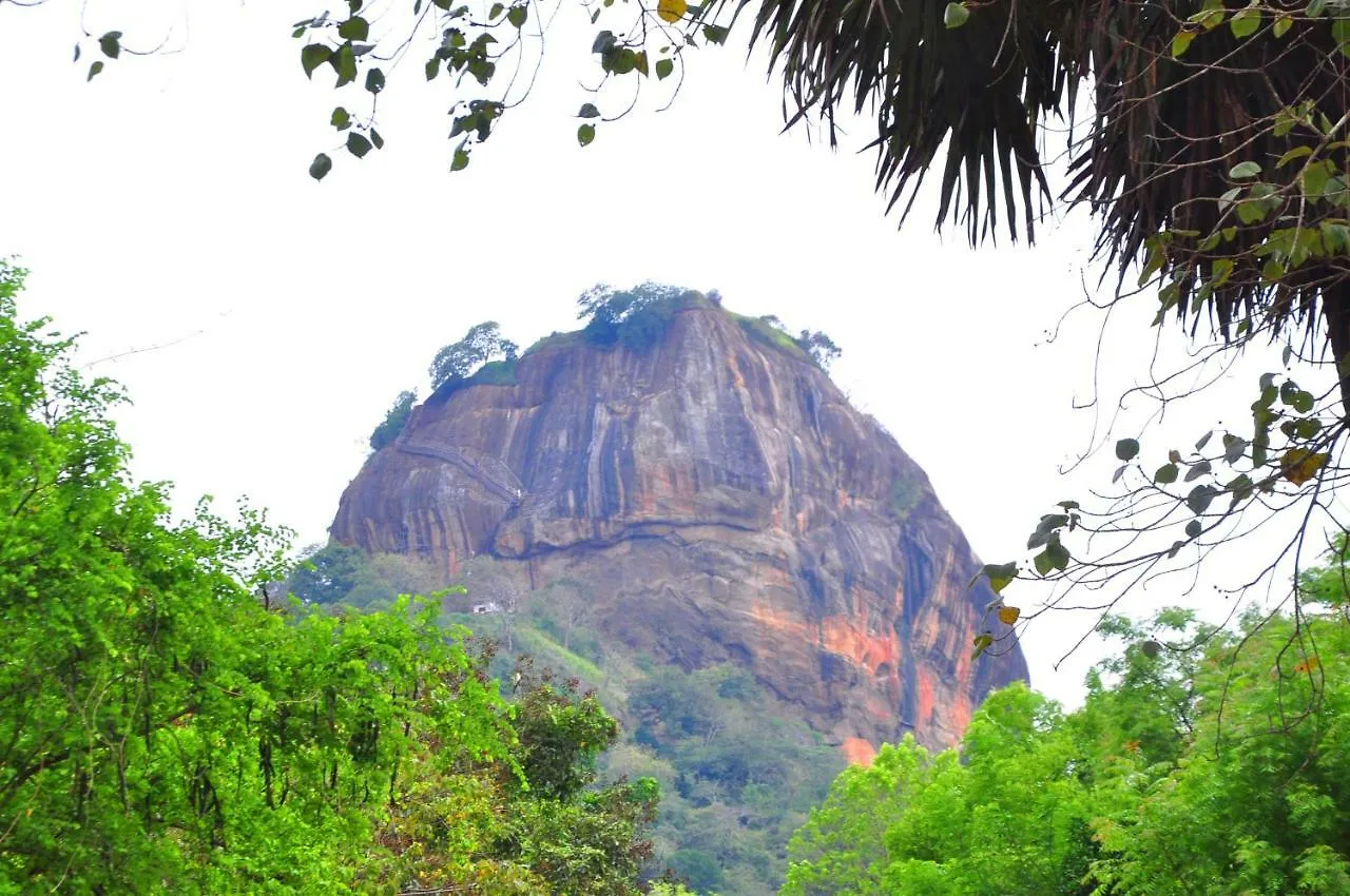 Thal Sewana Home Stay Sigirîya Sri Lanka