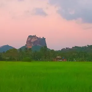 Lodge Nice View, Sigiriya