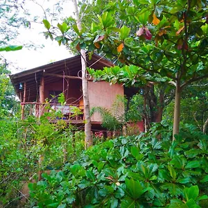  Homestay Akash Treehouse